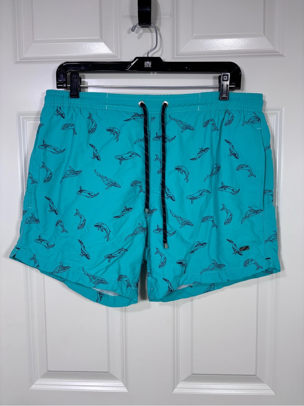 Hugo Boss Men’s Lined Swim Trunks Teal Blue Whale Print